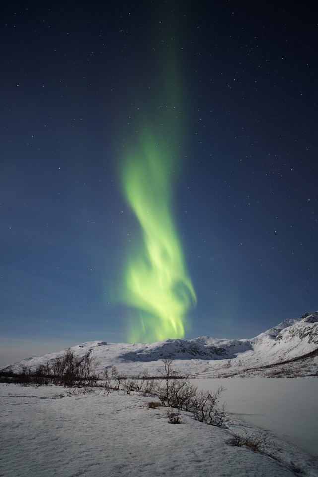 Phoenix Aurora | Norway - Stephen King Photography